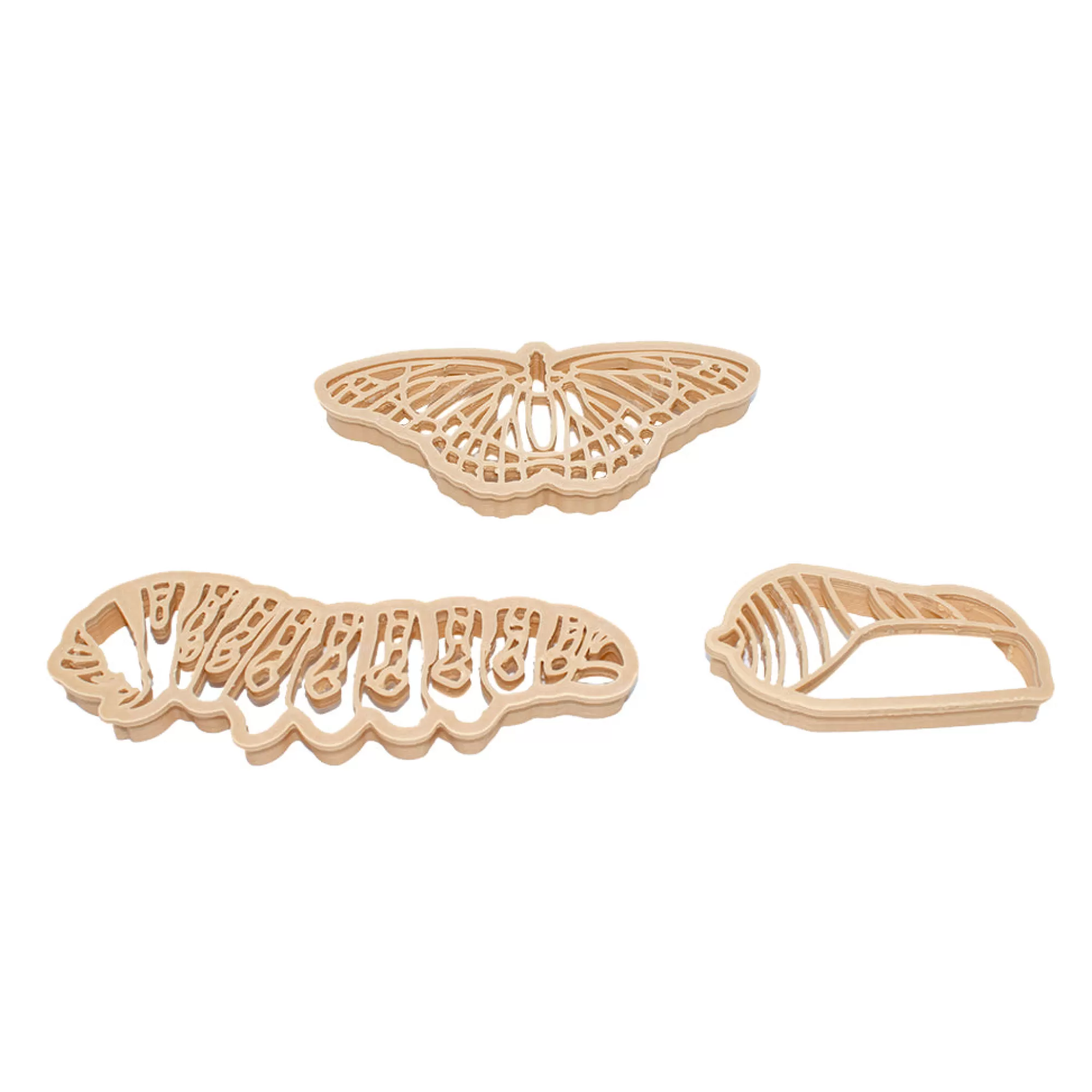 Kinfolk Pantry Sensory Play-Butterfly Life Cycle Eco Cutter - Set Of 3