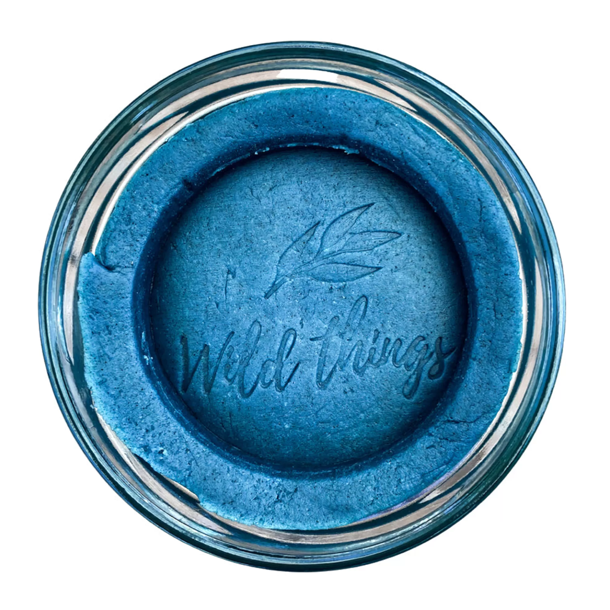 Wild Things Playdough Sensory Play-Deep Ocean Playdough