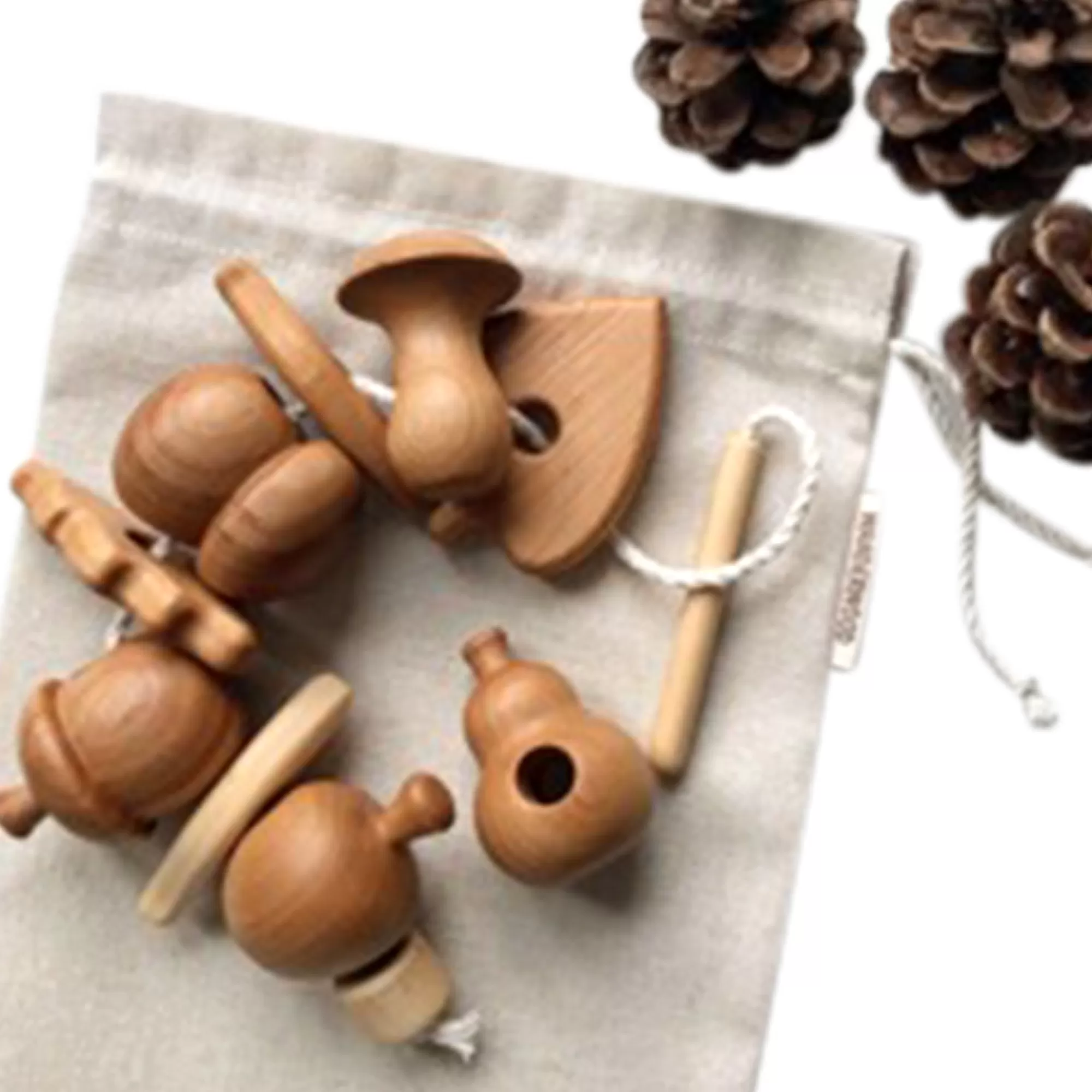 Wander Wood Co Lacing Toys-Lacing Toy With Mushrooms, Fruits & Leaves