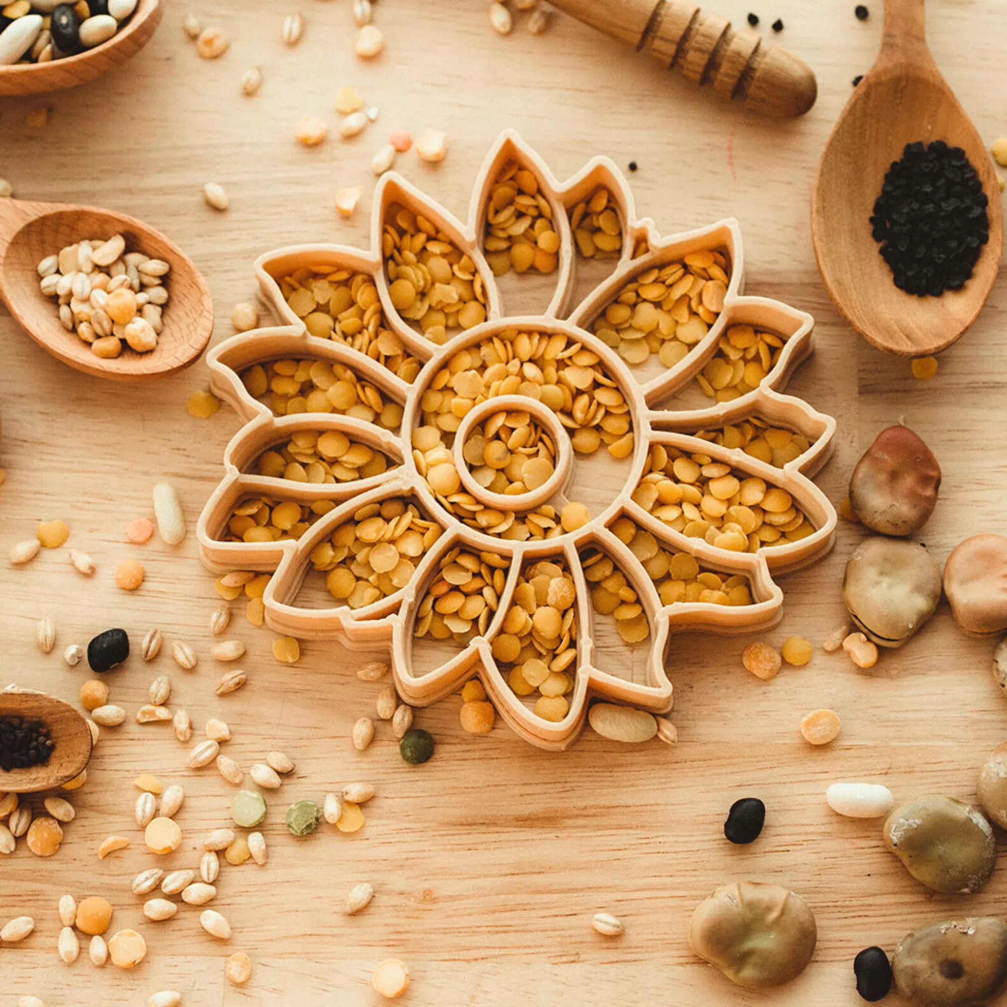 Kinfolk Pantry Sensory Play-Sunflower Eco Cutter