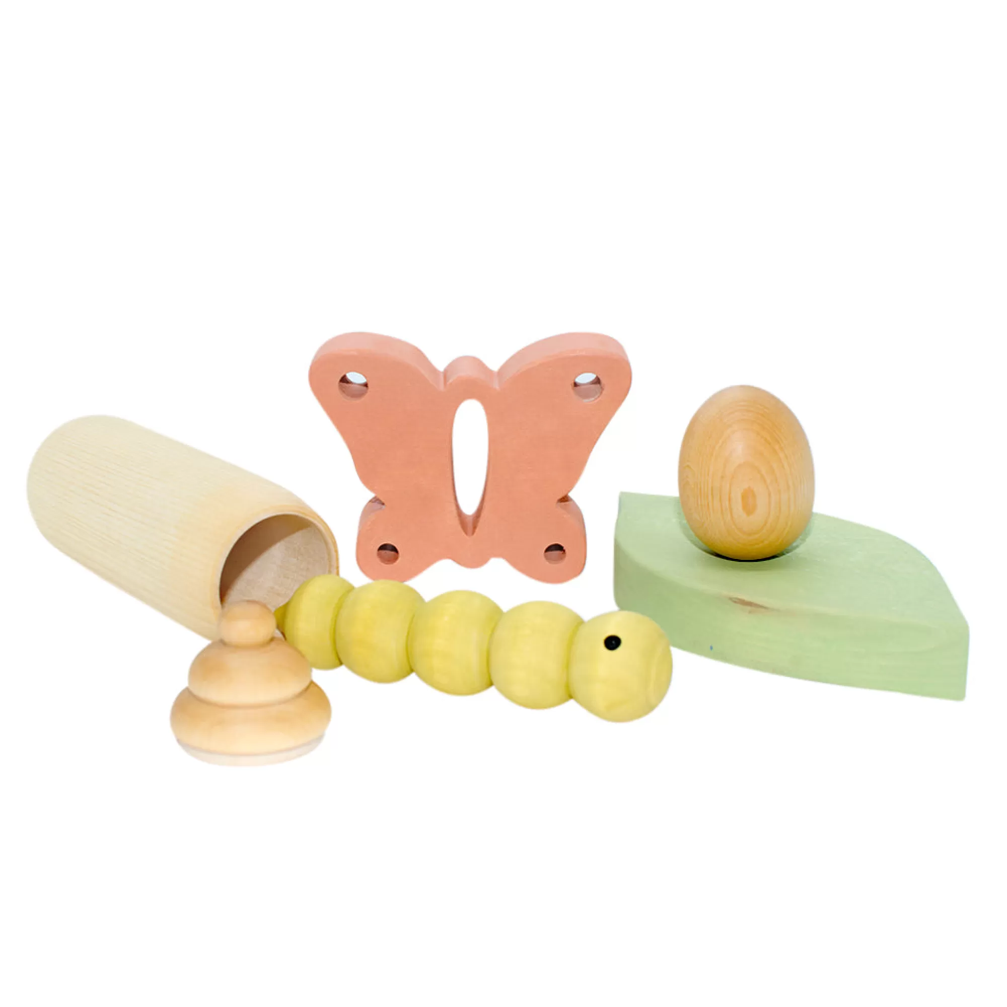 Vera The Neva Montessori Toys-Wooden Butterfly Life Cycle Set Of 5 Pcs