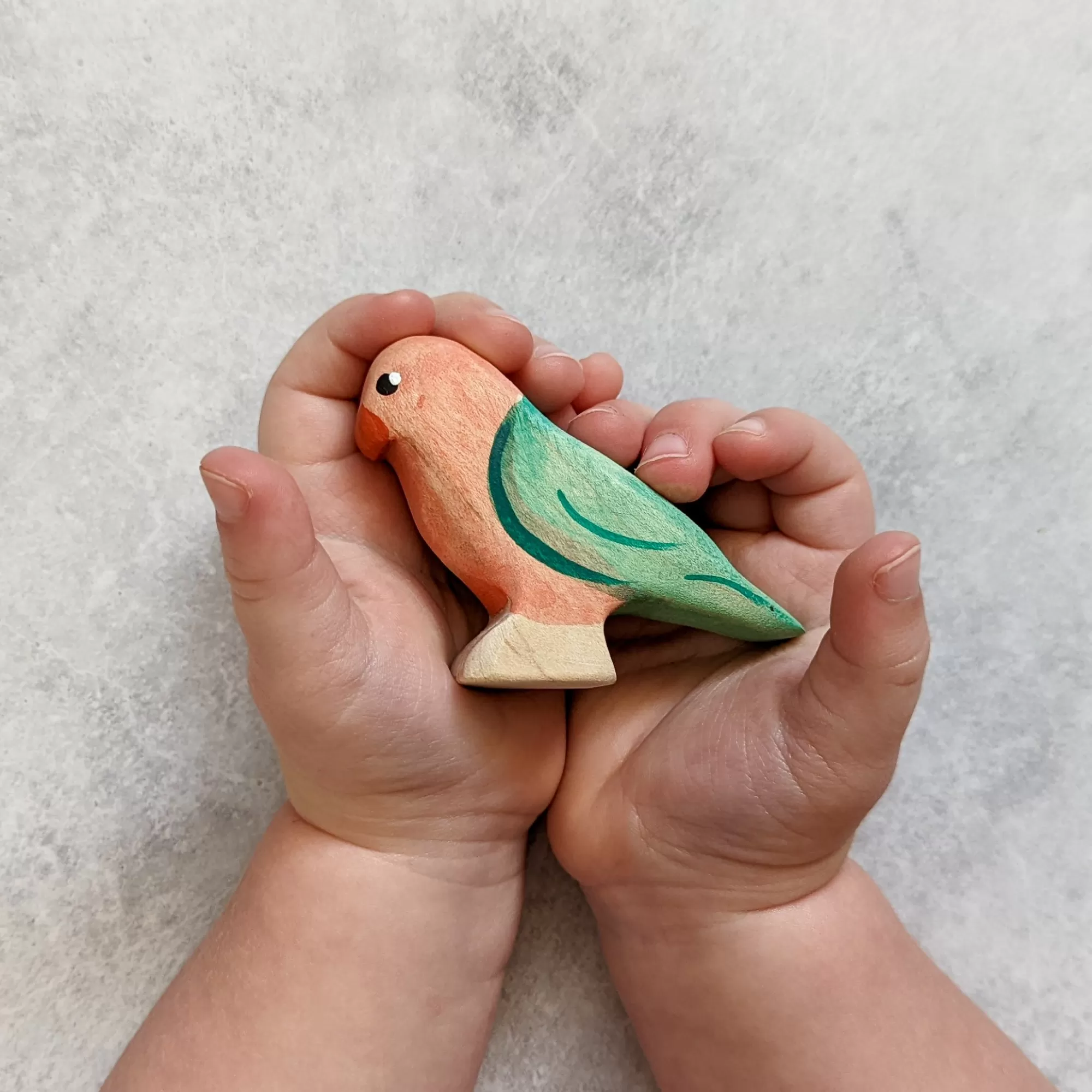 NOM Handcrafted Waldorf Inspired-Wooden King Parrot - Male