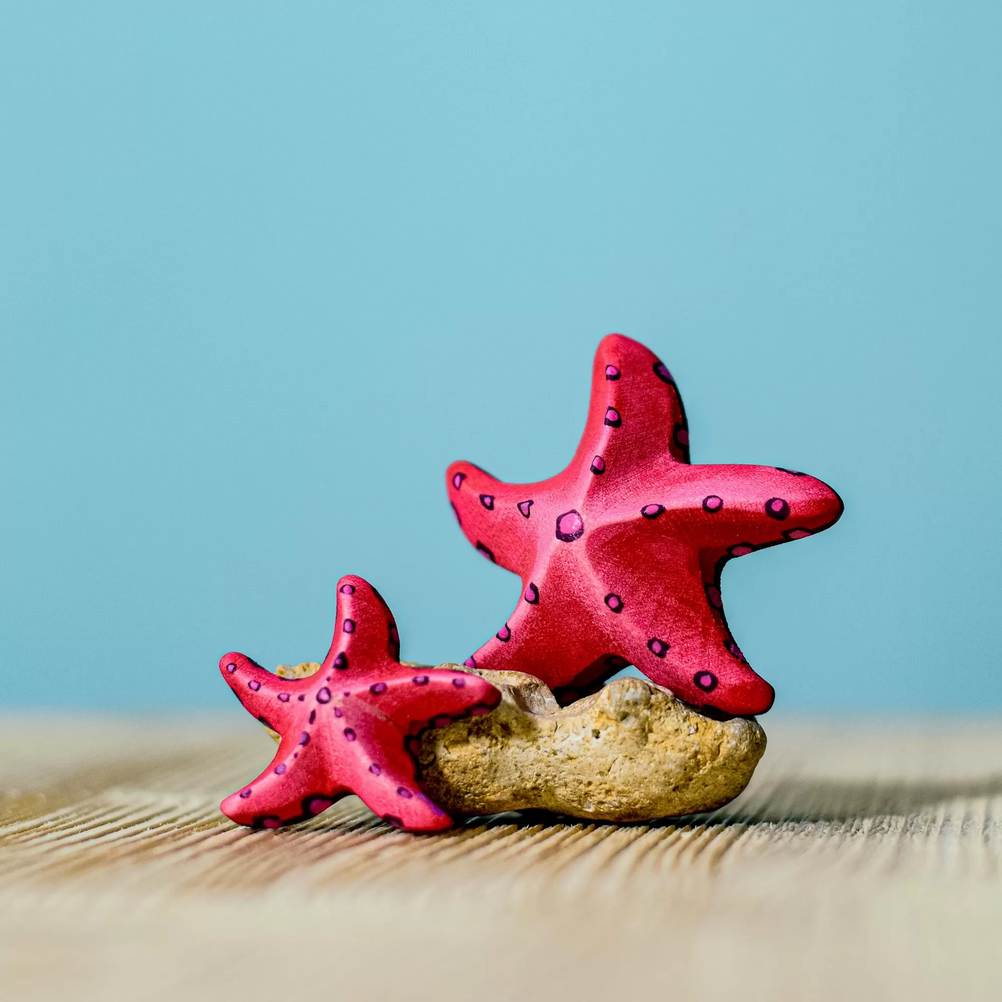 Bumbu Toys Sea Animals-Wooden Starfish Set - Red